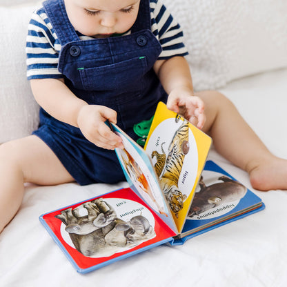 Poke-a-Dot: Wild Animal Families Board Book