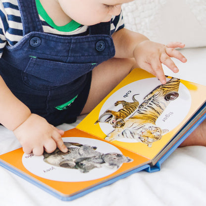 Poke-a-Dot: Wild Animal Families Board Book