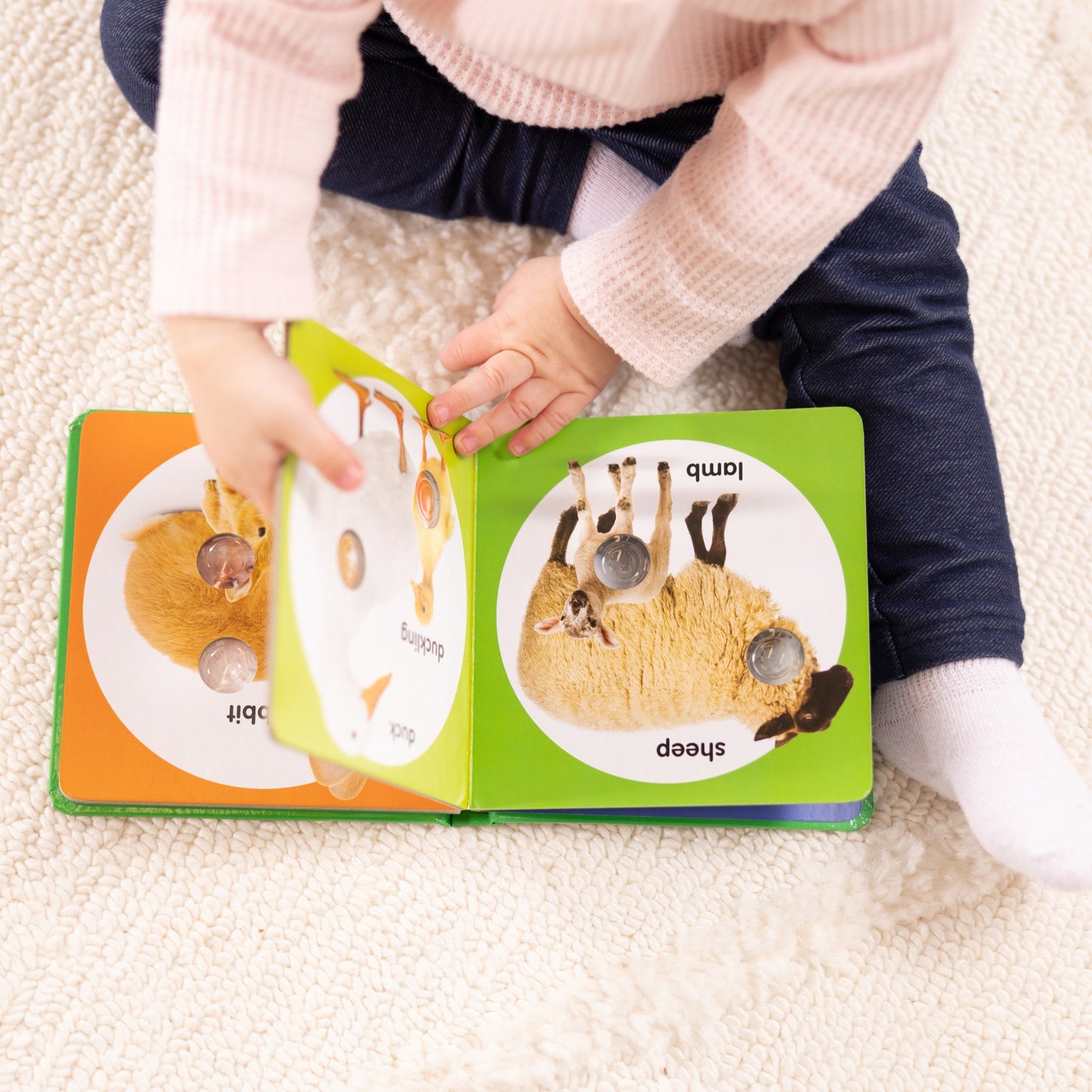 Poke-a-Dot: Farm Animal Families Board Book